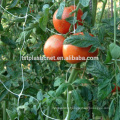 Tomato Trellis Netting ( UV stabilized )